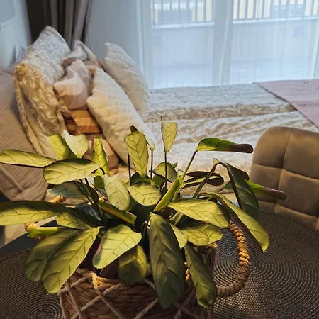 Elite 7 Jeżyce- Barańczaka 7