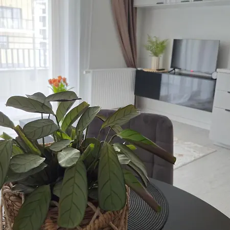 Elite 7 Jeżyce- Barańczaka 7 *