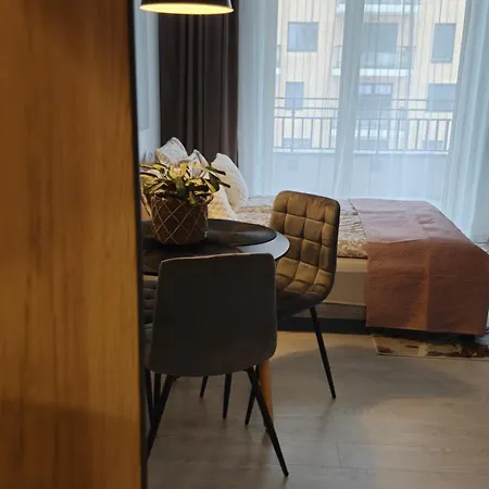 Elite 7 Jeżyce- Barańczaka 7 Apartament Poznań