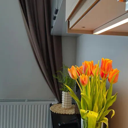 Elite 7 Jeżyce- Barańczaka 7 Apartament *