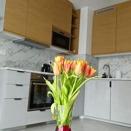 Elite 7 Jeżyce- Barańczaka 7 * Poznań