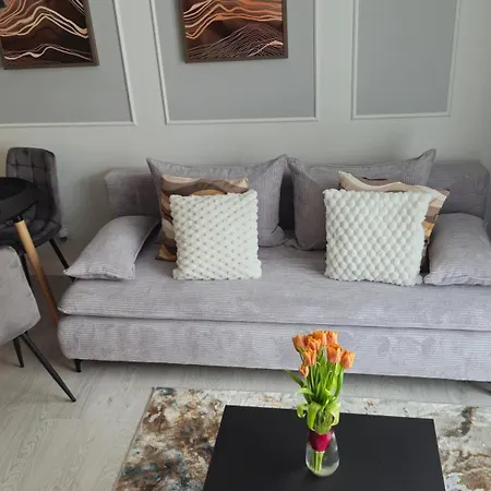 Elite 7 Jezyce- Baranczaka 7