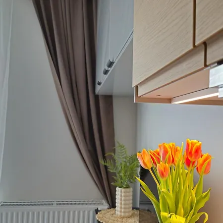 Apartamento Elite 7 Jezyce- Baranczaka 7 Poznań
