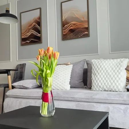 Apartamento Elite 7 Jezyce- Baranczaka 7 Poznań