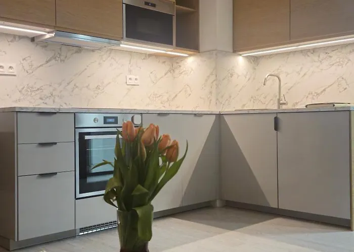 Apartment Elite 7 Jezyce- Baranczaka 7 Poznan