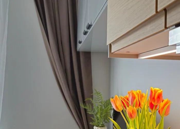 Appartement Elite 7 Jezyce- Baranczaka 7 Poznań