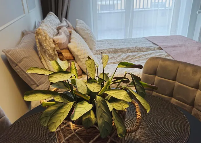 Elite 7 Jezyce- Baranczaka 7