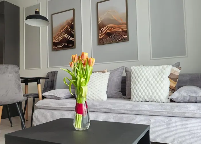 Apartment Elite 7 Jezyce- Baranczaka 7 Poznan