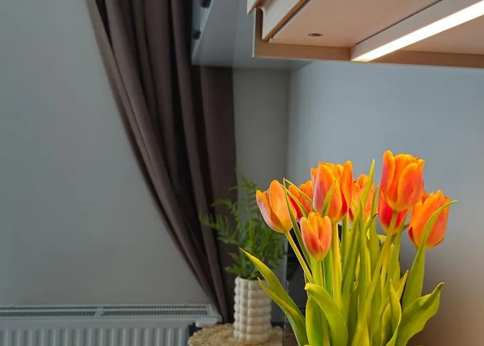 Elite 7 Jezyce- Baranczaka 7 Daire *