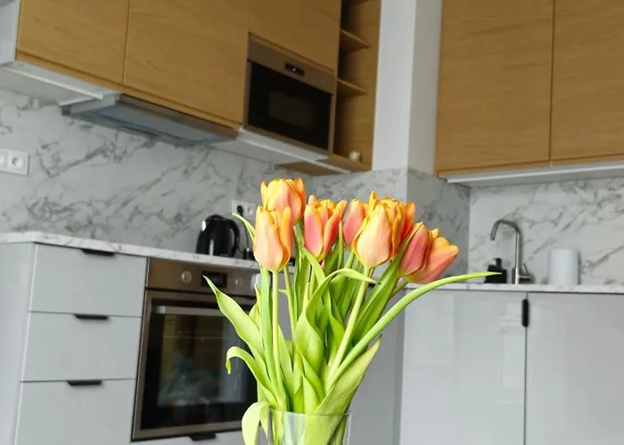 Elite 7 Jezyce- Baranczaka 7 * Poznan